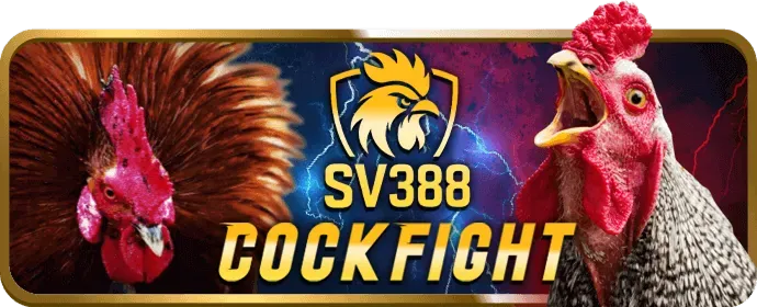Cá cược bóng rổ và quần vợt OneBet